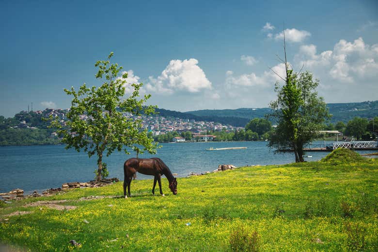 Lago Sapanca